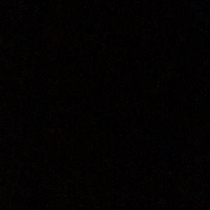 Meet your Posher, Daisy